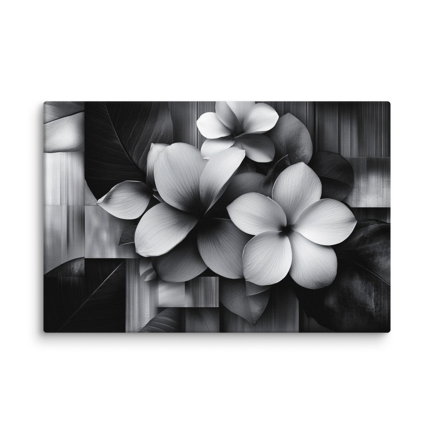 Monochrome Petalscape 20″×30″