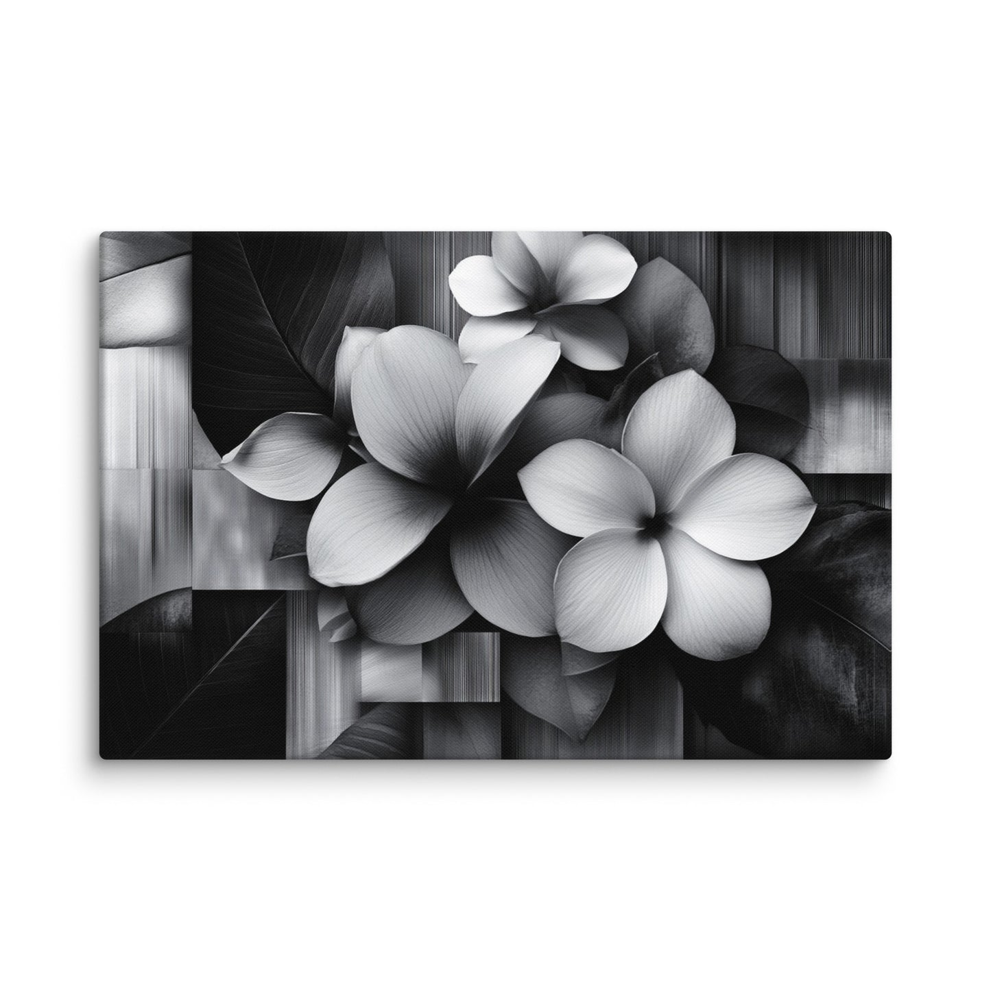 Monochrome Petalscape 32″×48″