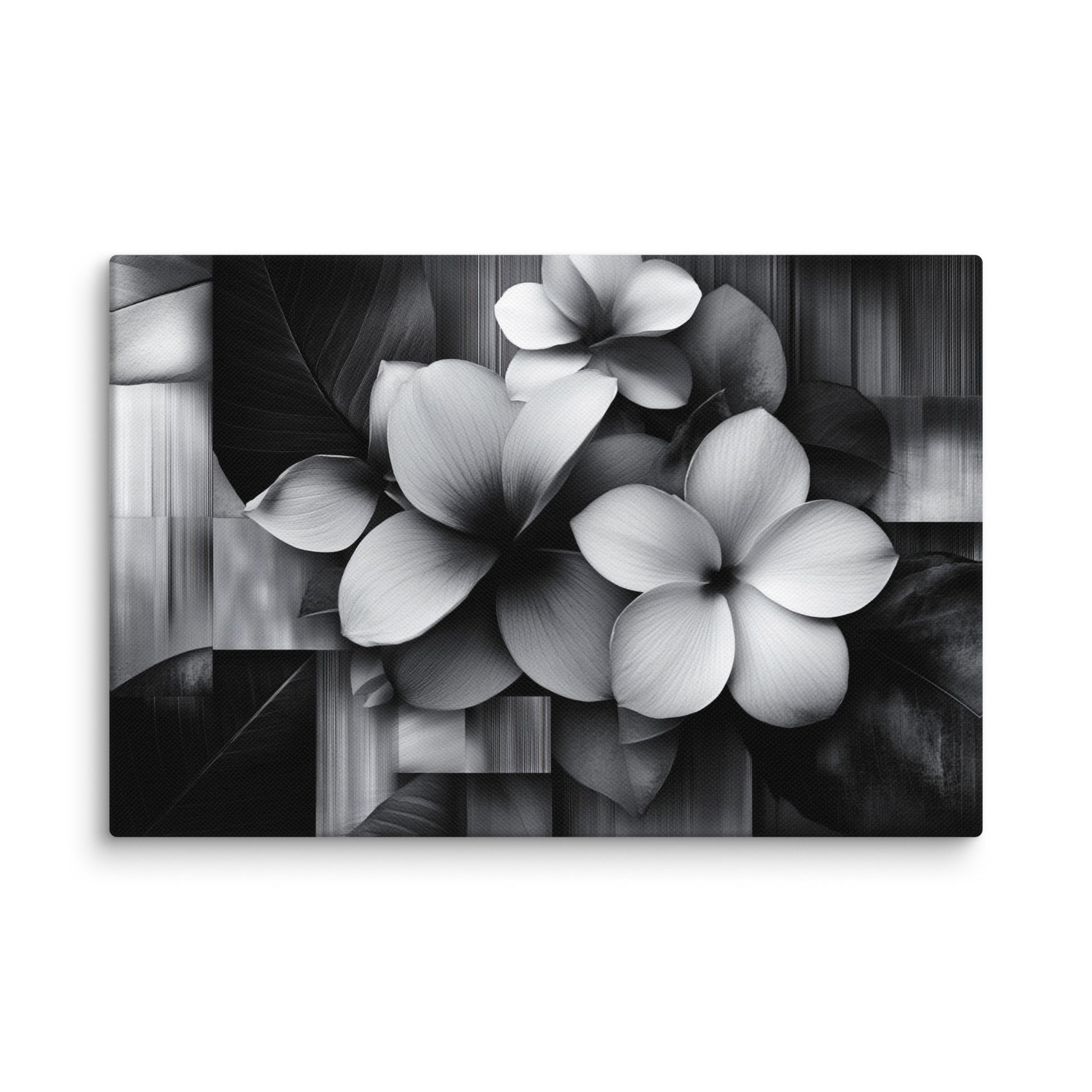 Monochrome Petalscape 12″×18″