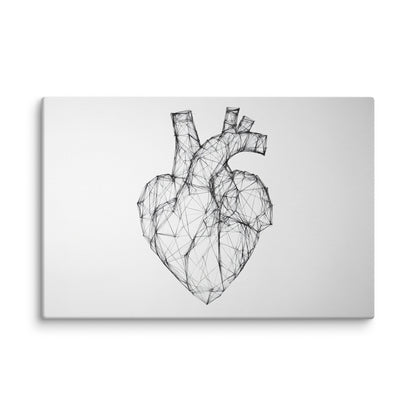 Lined Anatomy 12″×18″