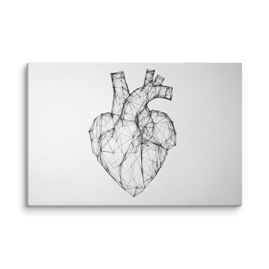 Lined Anatomy 12″×18″