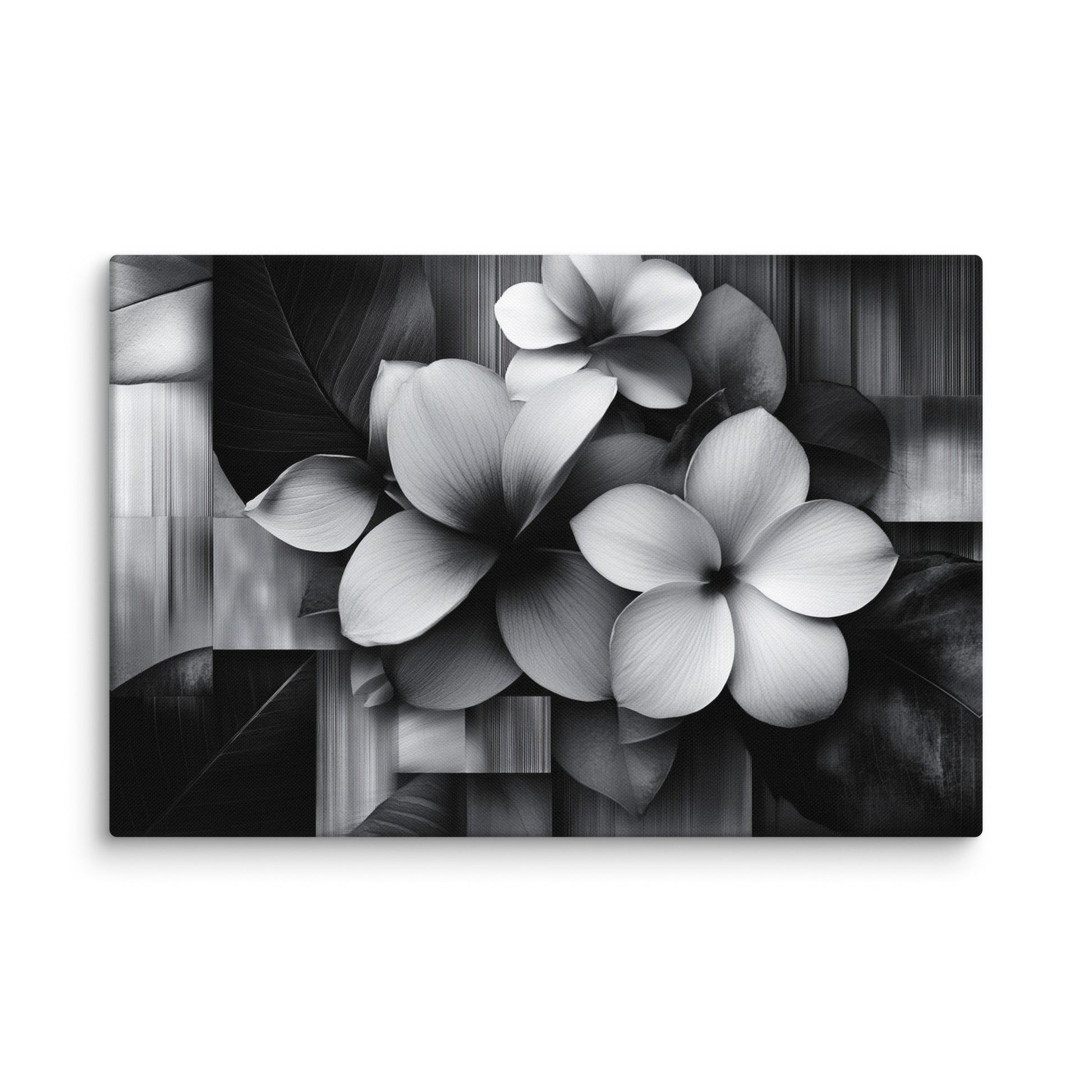 Monochrome Petalscape 20″×30″