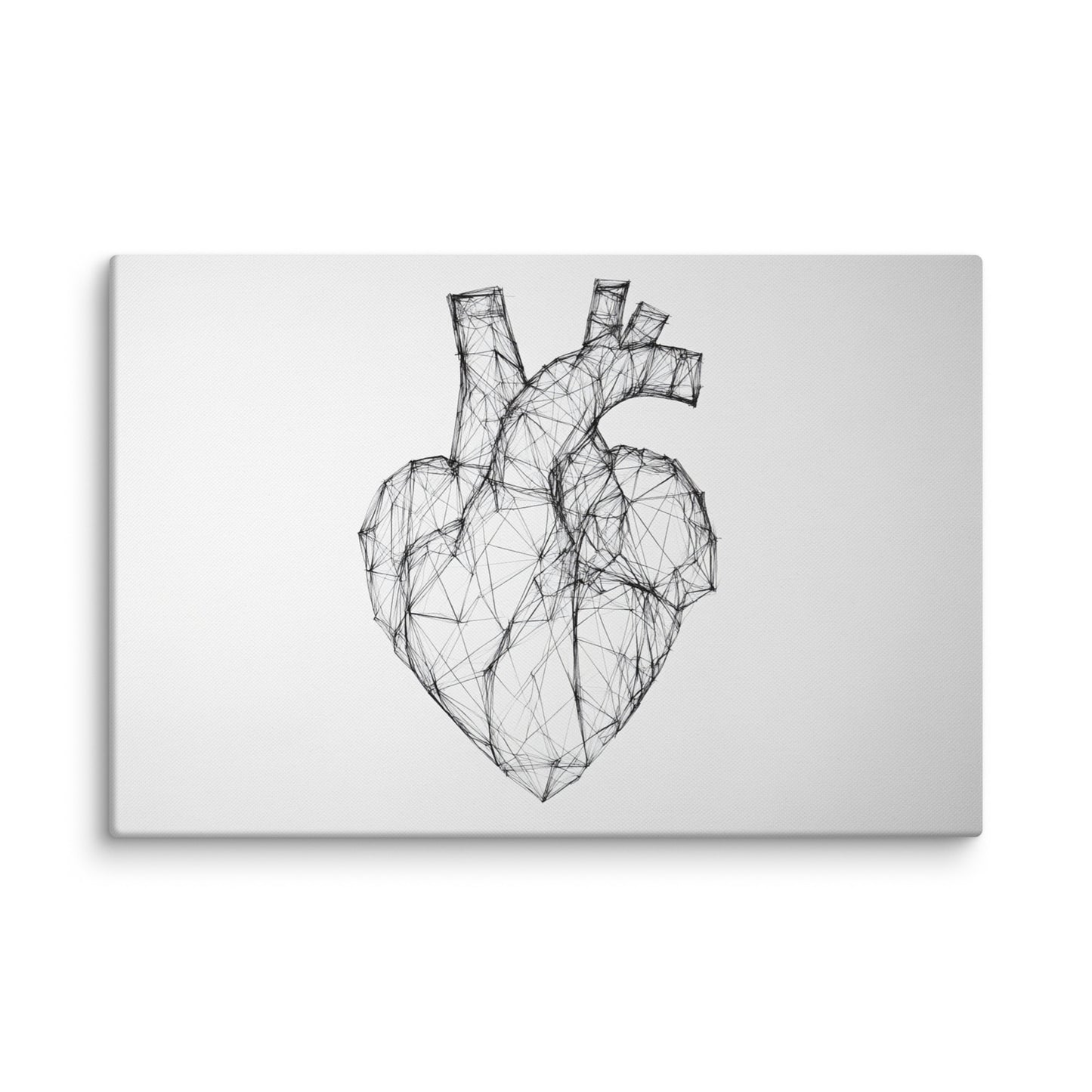 Lined Anatomy 24″×36″