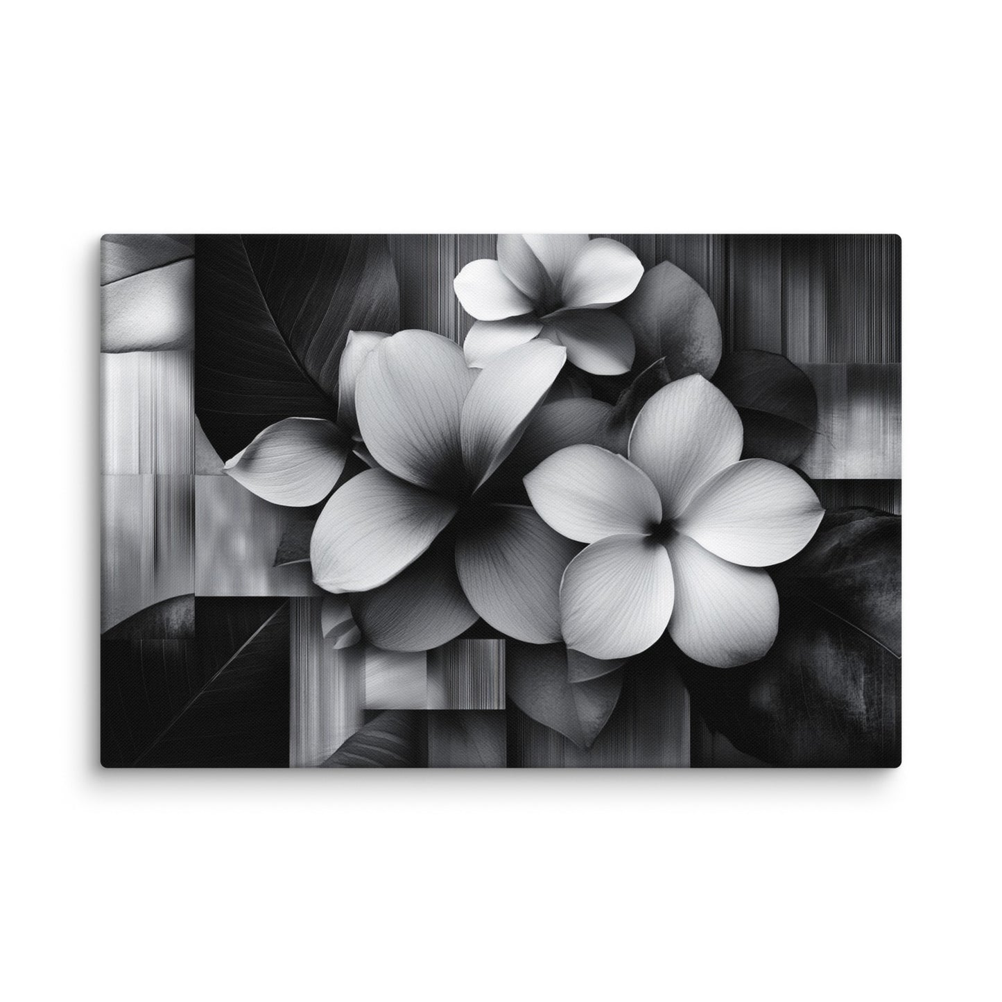 Monochrome Petalscape 40″×60″