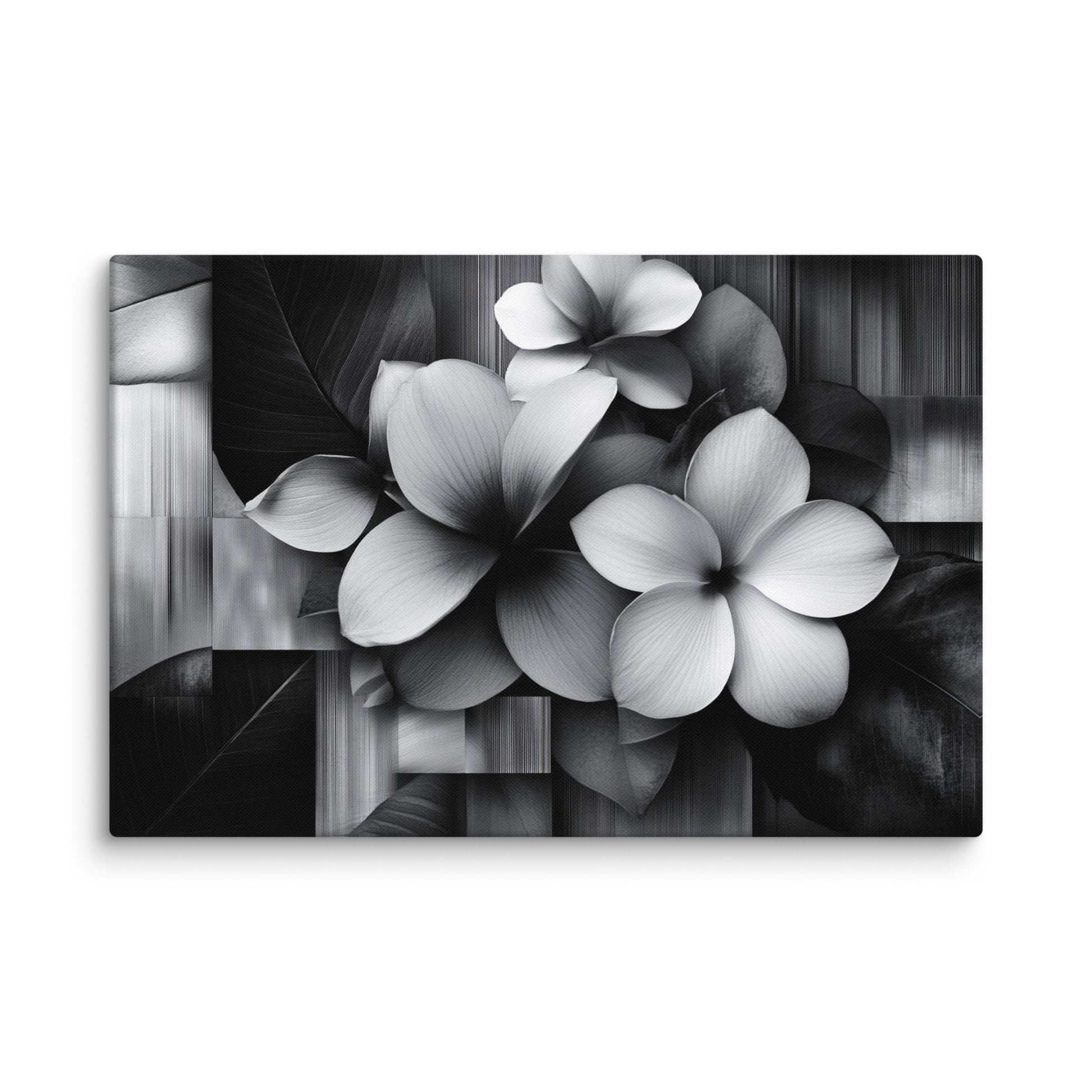 Monochrome Petalscape 40″×60″