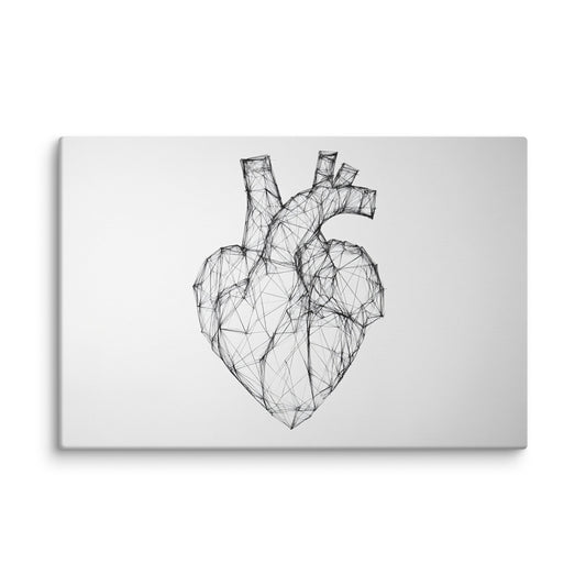 Lined Anatomy 40″×60″