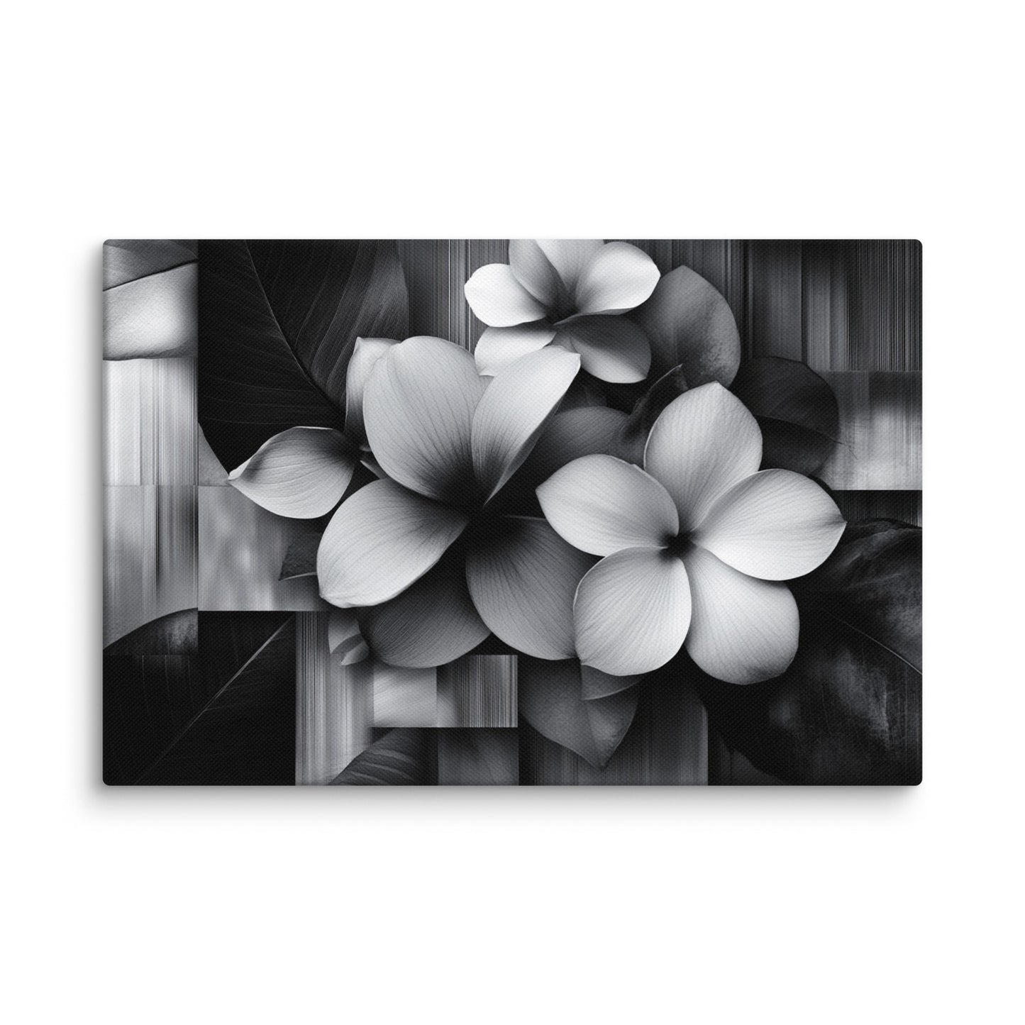 Monochrome Petalscape 8″×12″
