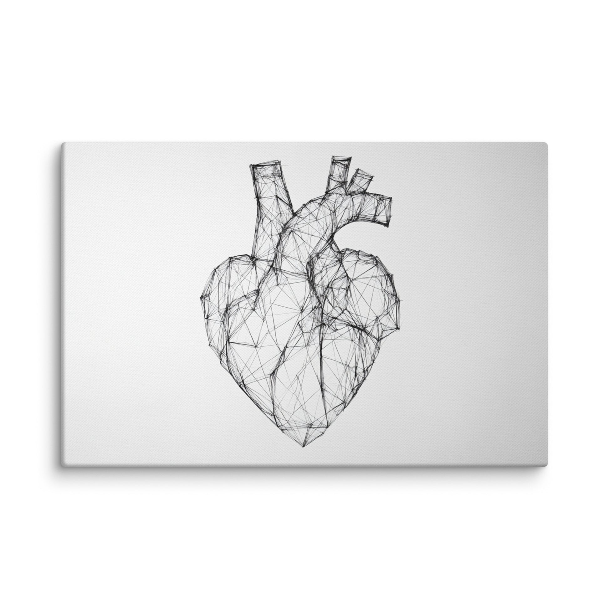 Lined Anatomy 8″×12″