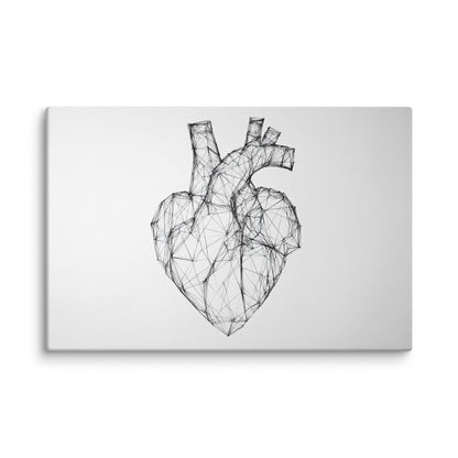 Lined Anatomy 8″×12″
